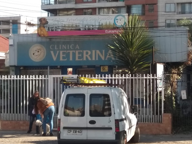 Clínica Veterinaria San Ignacio - Veterinario