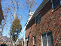 PCA Bat Removal - Photo 4 - Car repair in Greenville, SC, Greenville