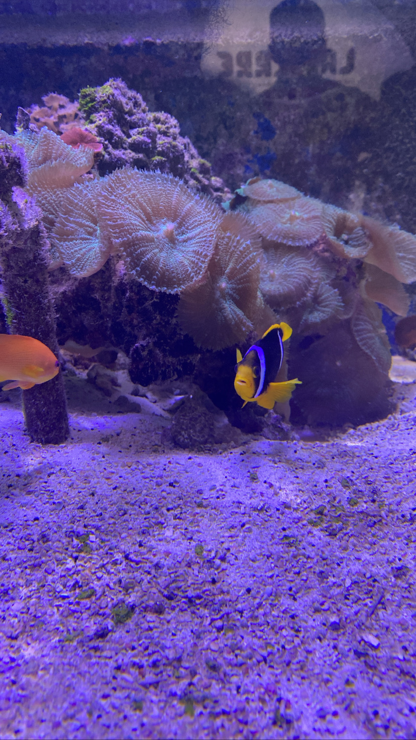 Photo n° 1 de l'avis de Rose-derline.o fait le 04/03/2023 à 13:02