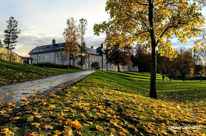 Nord universitet, Levanger
