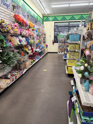 Dollar Store «Dollar Tree», reviews and photos, 8676 TX-121 #104, McKinney, TX 75070, USA