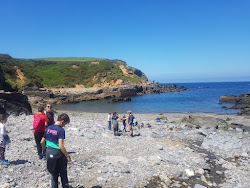 Playa de El Molin del Puerto'in fotoğrafı çok temiz temizlik seviyesi ile