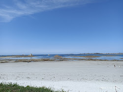 Plage du Pouldu'in fotoğrafı imkanlar alanı