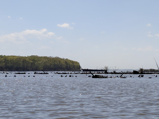 Tourist Attraction «Mallows Bay», reviews and photos, 1440 Wilson Landing Rd, Nanjemoy, MD 20662, USA