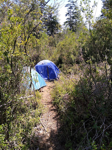 Camping VICTORIA - Camping