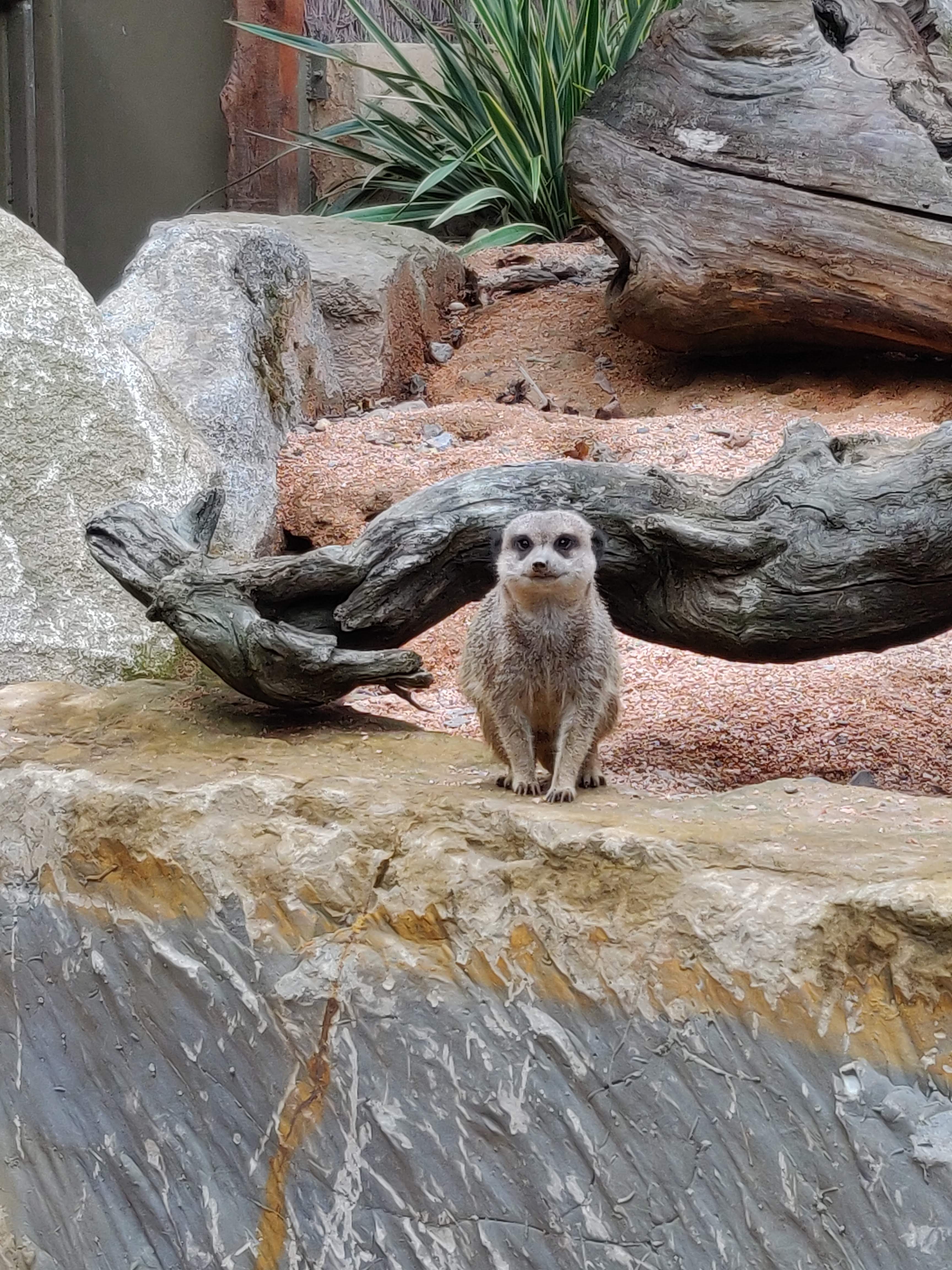 Photo n° 4 de l'avis de Kelly.e fait le 06/10/2020 à 20:25