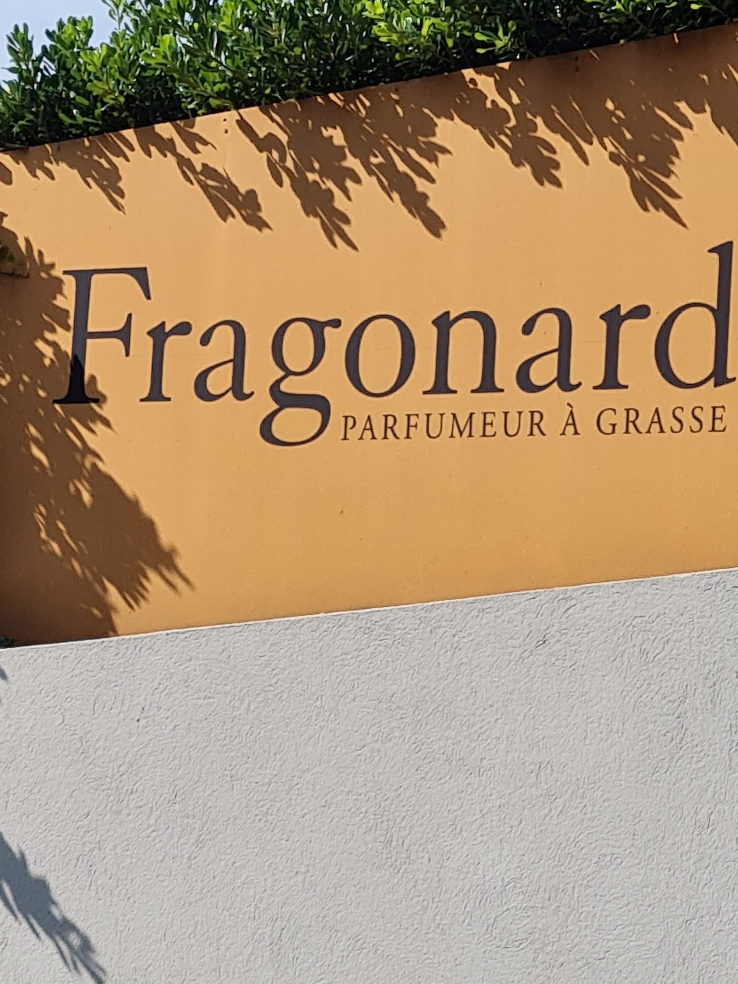 Photo n° 1 de l'avis de Frédéric.o fait le 15/08/2022 à 15:29