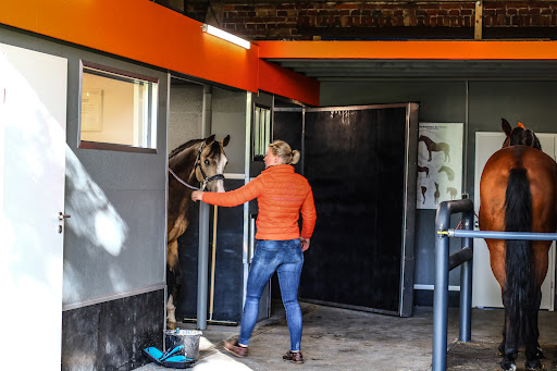 Pferd und Reiter Therapie UG unter Wettringen, 
