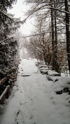ALPES FOR YOU - IDHA LA CASSE à Puy-Saint-Vincent