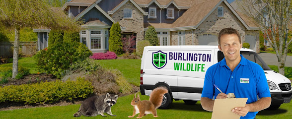 BURLINGTON WILDLIFE REMOVAL