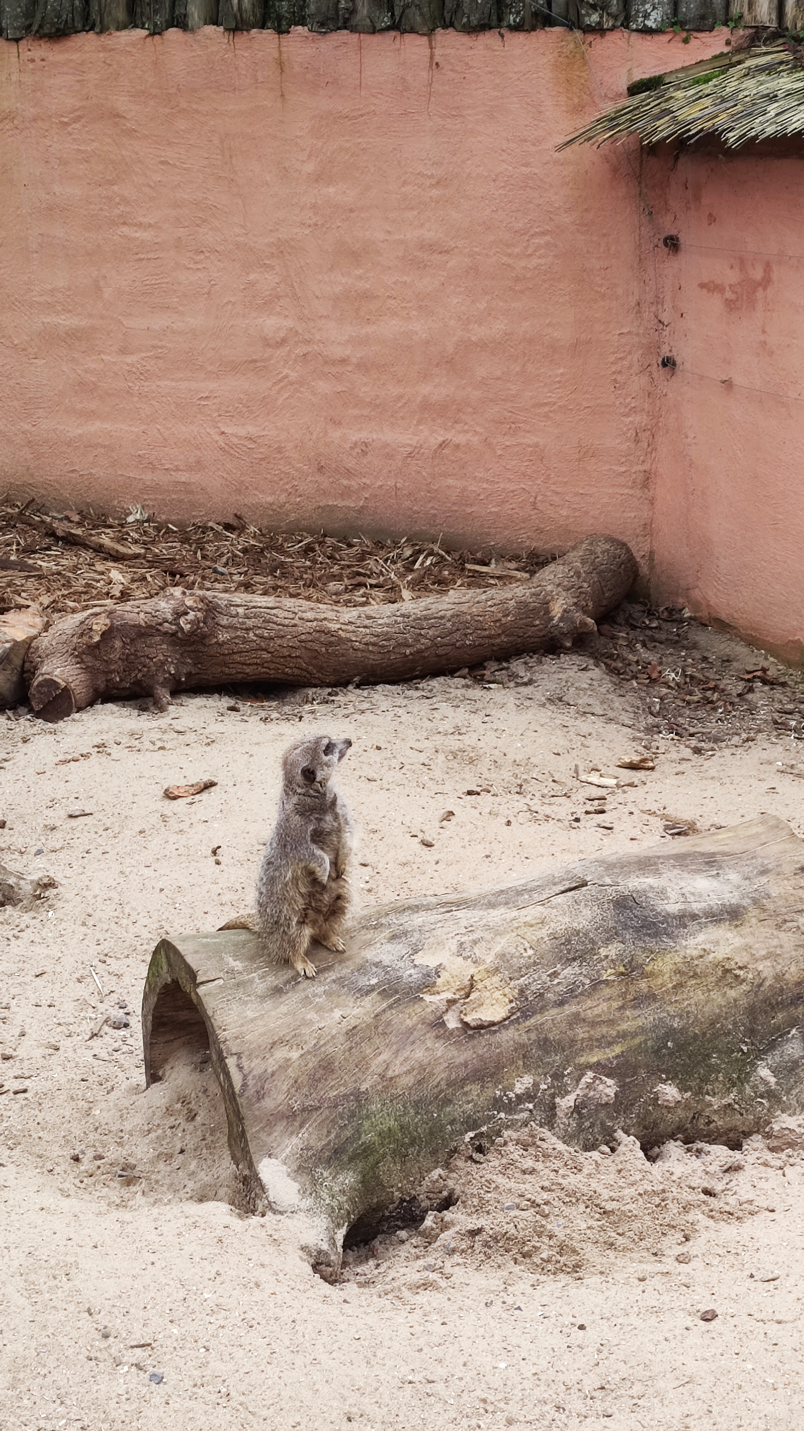 Photo n° 1 de l'avis de Sophie.m fait le 21/02/2023 à 11:09