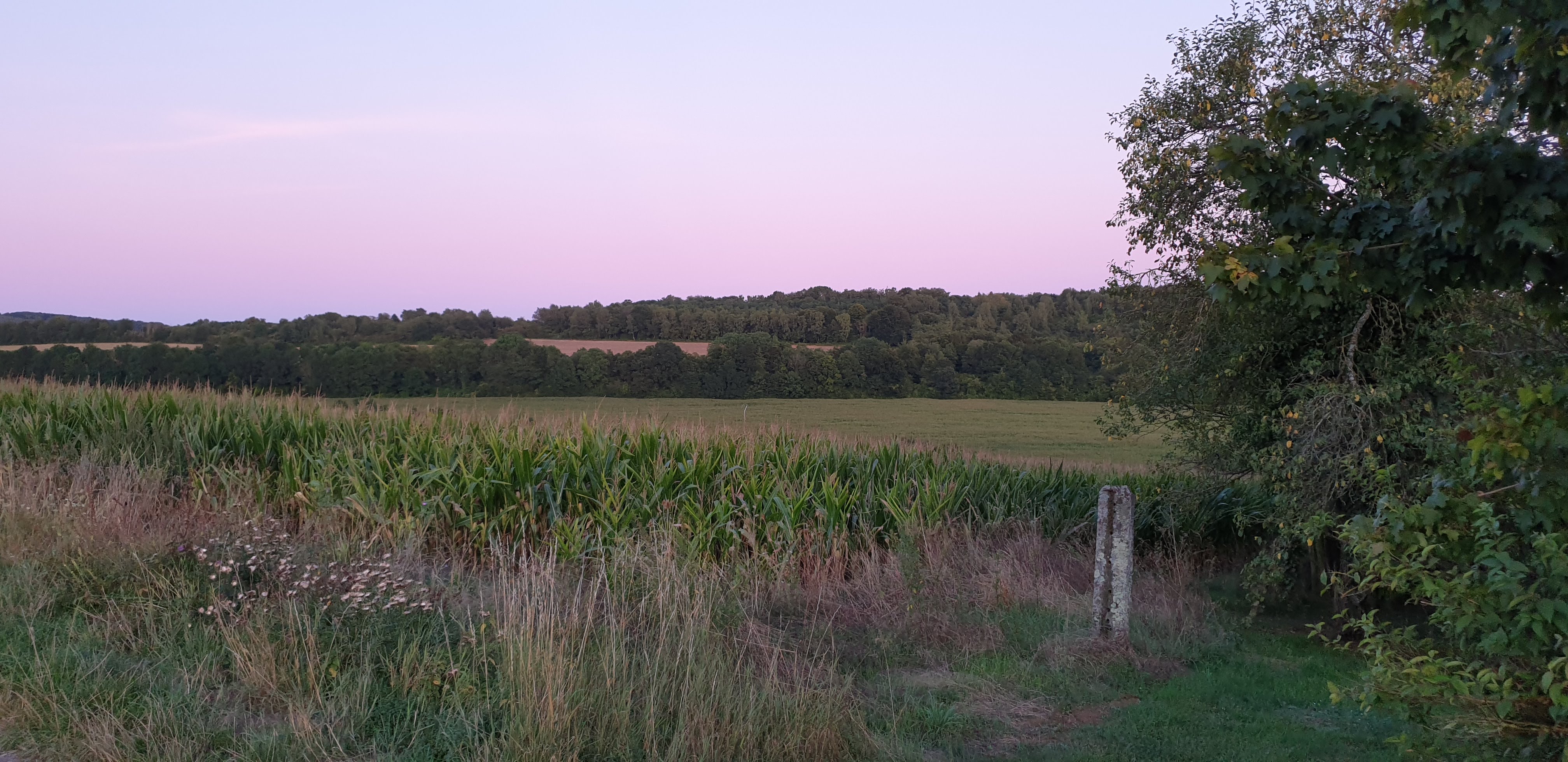 Photo n° 16 de l'avis de Gilles. fait le 28/08/2019 à 13:03