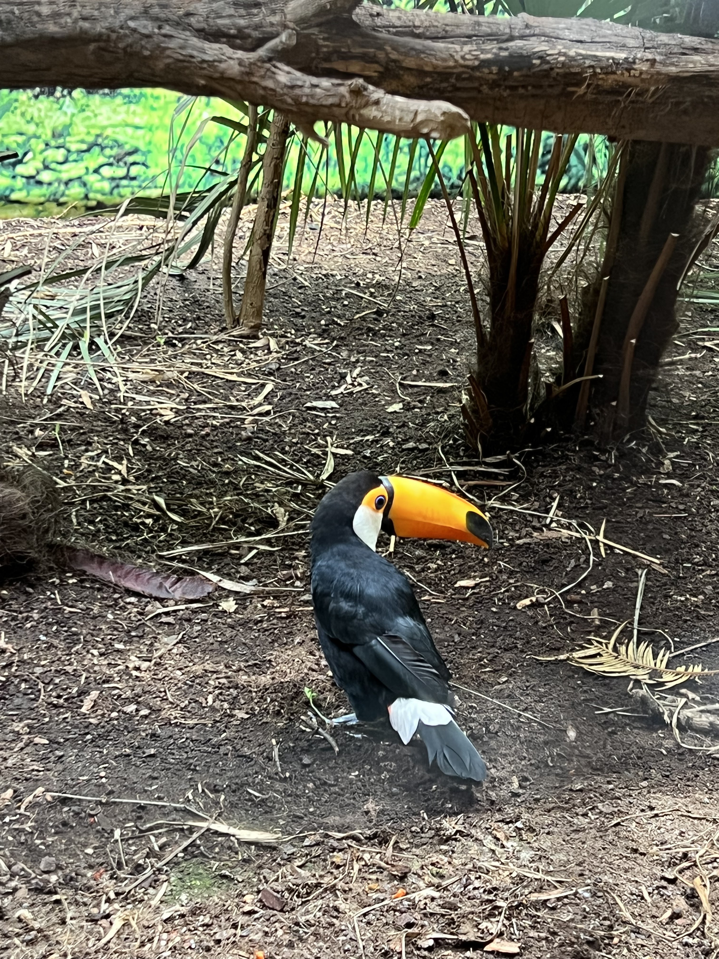 Photo n° 4 de l'avis de Fish.n fait le 11/09/2022 à 15:55