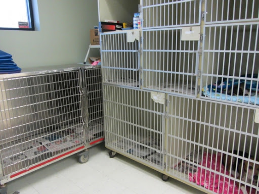 404 S Edgemoor St #100, Wichita, KS 67218, USA