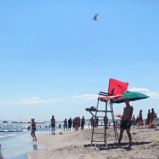 Aquarium «New York Aquarium», reviews and photos, 602 Surf Ave, Brooklyn, NY 11224, USA