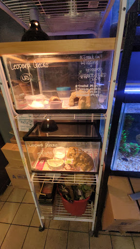 Pet Store «Moby Dick Pet Store Inc», reviews and photos, 3700 Sashabaw Rd, Waterford Twp, MI 48329, USA