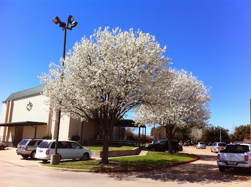 Chapel Plano