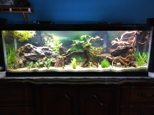 Pet Store «Critter Hut Aquarium & Pets», reviews and photos, 6637 Post Rd, North Kingstown, RI 02852, USA