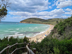 Photo de Cala Violina Scarlino avec un niveau de propreté de très propre