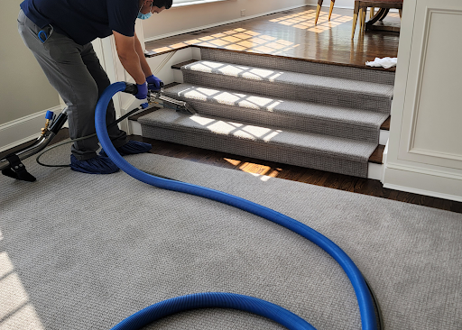 Carpet cleaning service Stamford