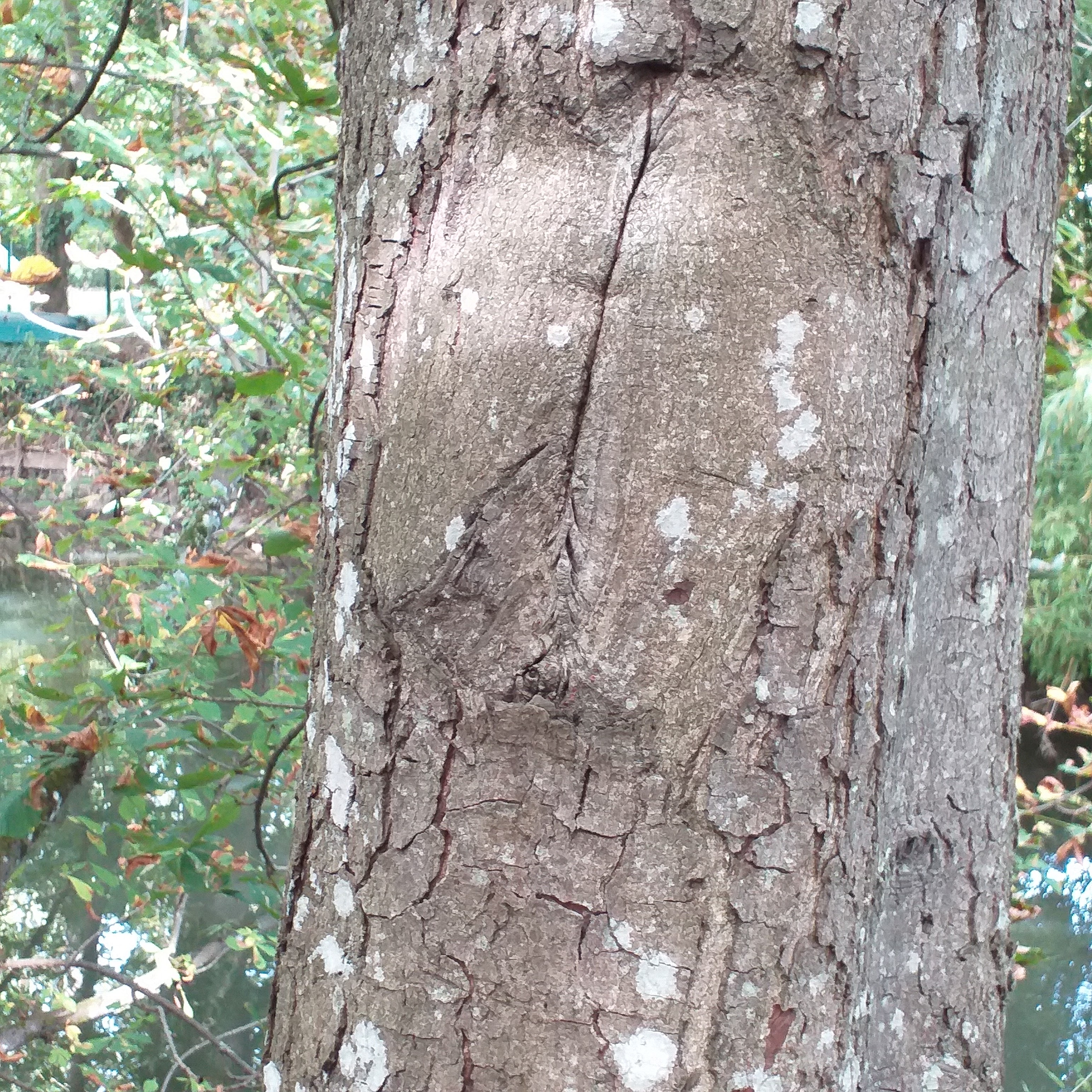 Photo n° 1 de l'avis de Guy.a fait le 17/09/2023 à 17:20