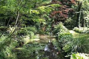 Arboretum des prés-des-culands image