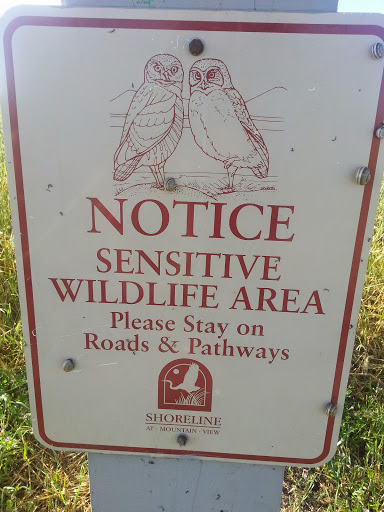 Recreation Center «Shoreline Lake Boathouse», reviews and photos, 3160 N Shoreline Blvd, Mountain View, CA 94043, USA