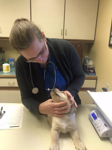 Mechanic Falls Veterinary Hospital image