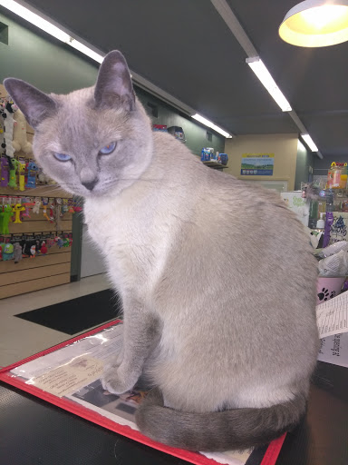 Pet Store «Debbies Pet Boutique», reviews and photos, 431 Center St, Healdsburg, CA 95448, USA