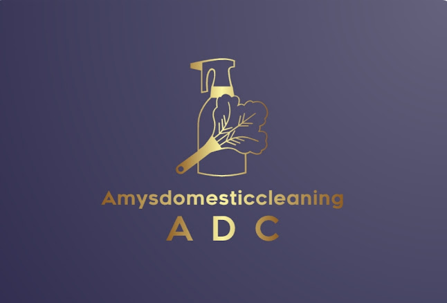 Reviews of Amy's domestic cleaning in Worthing - House cleaning service