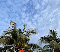 Shooters Bali photo