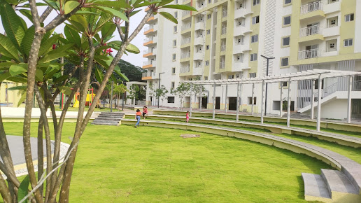 Google Maps image 15