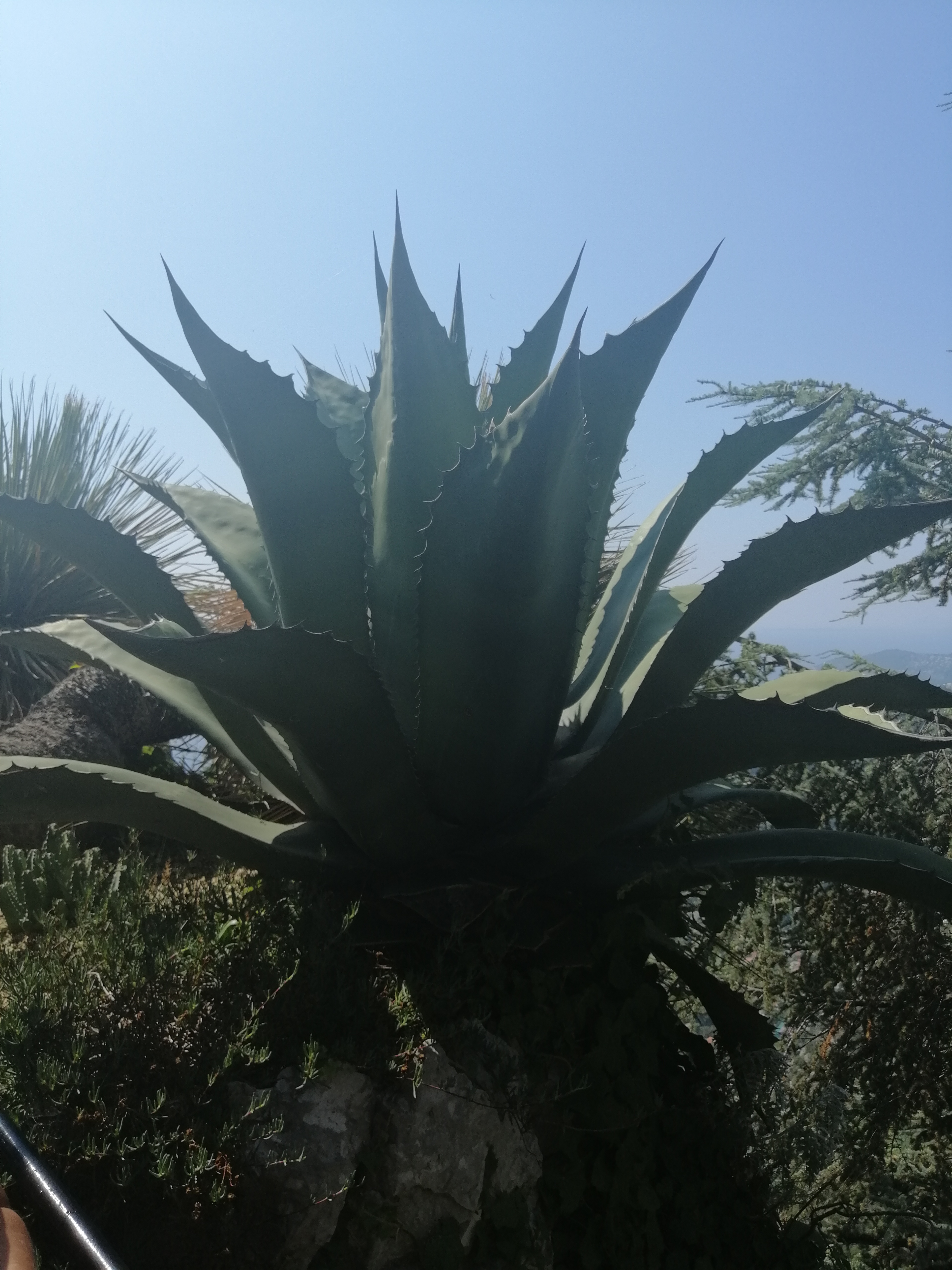 Photo n° 3 de l'avis de Sabrina.M fait le 29/08/2019 à 06:09
