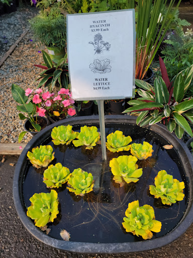 Hardware Store «Payless Hardware, Rockery and Nursery», reviews and photos, 2927 King Rd, San Jose, CA 95122, USA