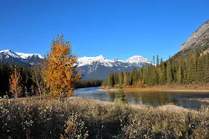 Bow Valley Parkway image