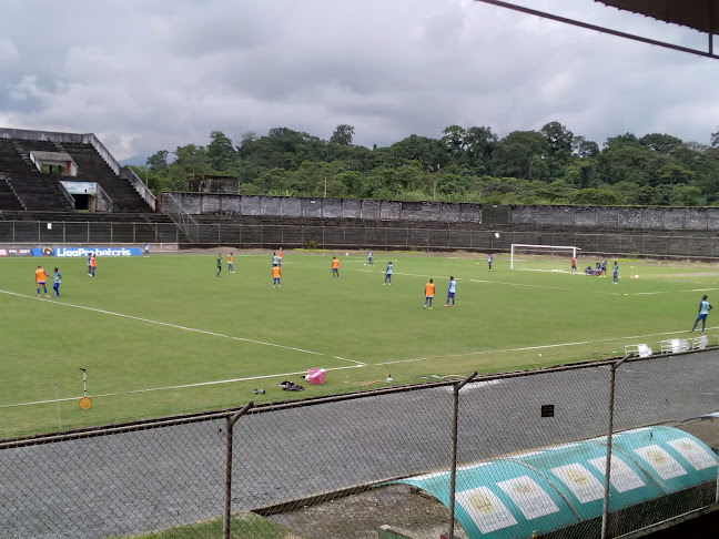 Opiniones de Estadio Etho Vega en Santo Domingo de los Colorados - Campo de fútbol