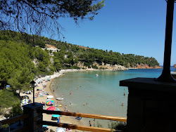 Photo de Paralia Chrisi Milia avec un niveau de propreté de très propre