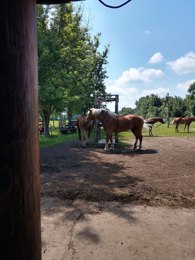 Produce Market «Natura Farms», reviews and photos, 19060 Manning Trail N, Marine on St Croix, MN 55047, USA