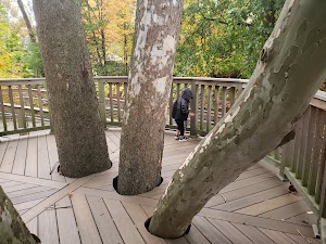 Wellfield Botanic Gardens - photo 52