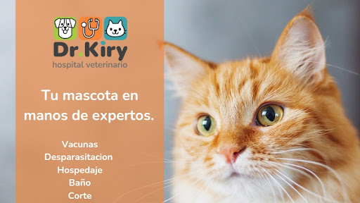 Dr. Kiry hospital veterinario