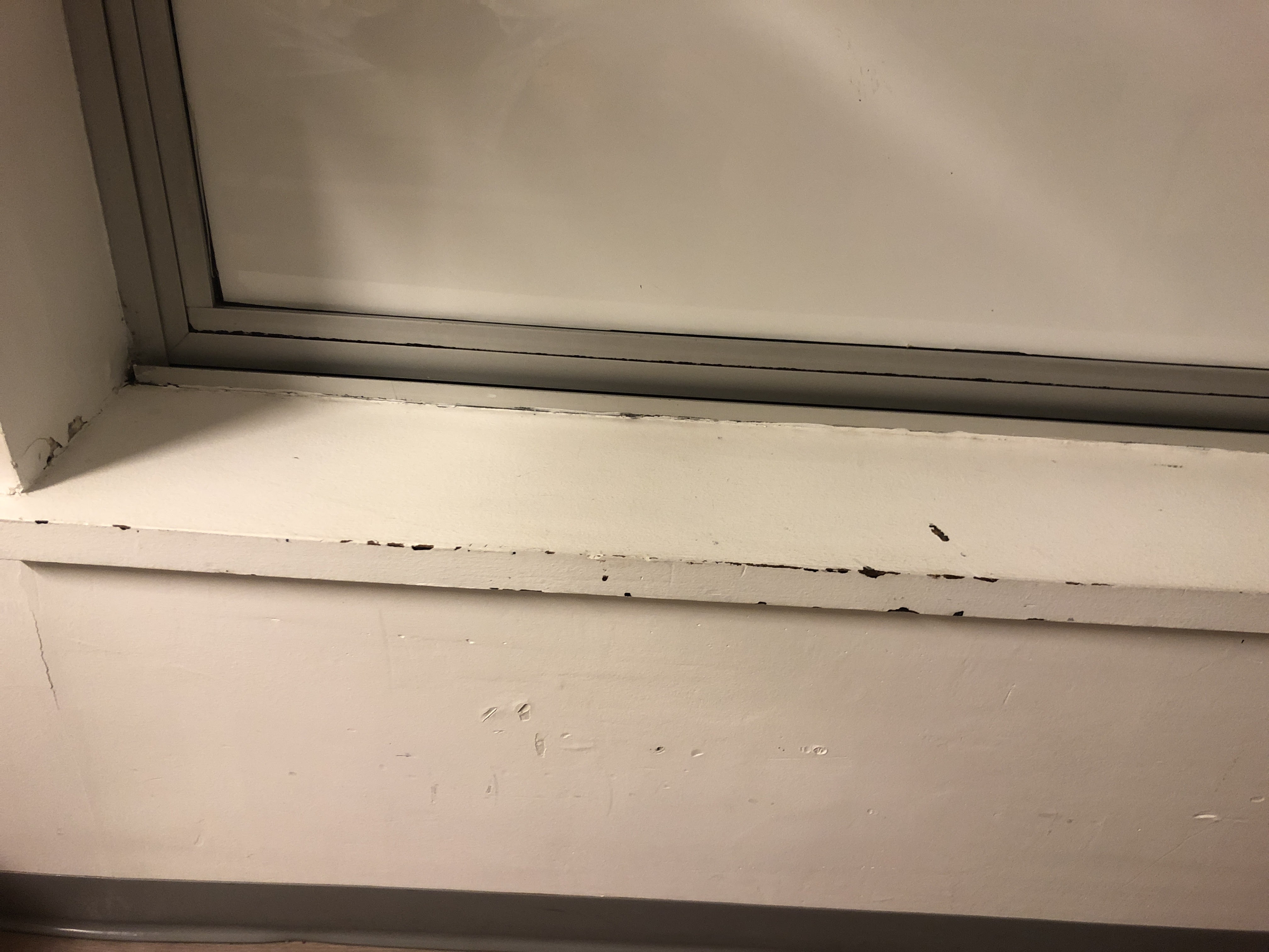 Photo n° 1 de l'avis de Corine.a fait le 30/01/2024 à 19:01