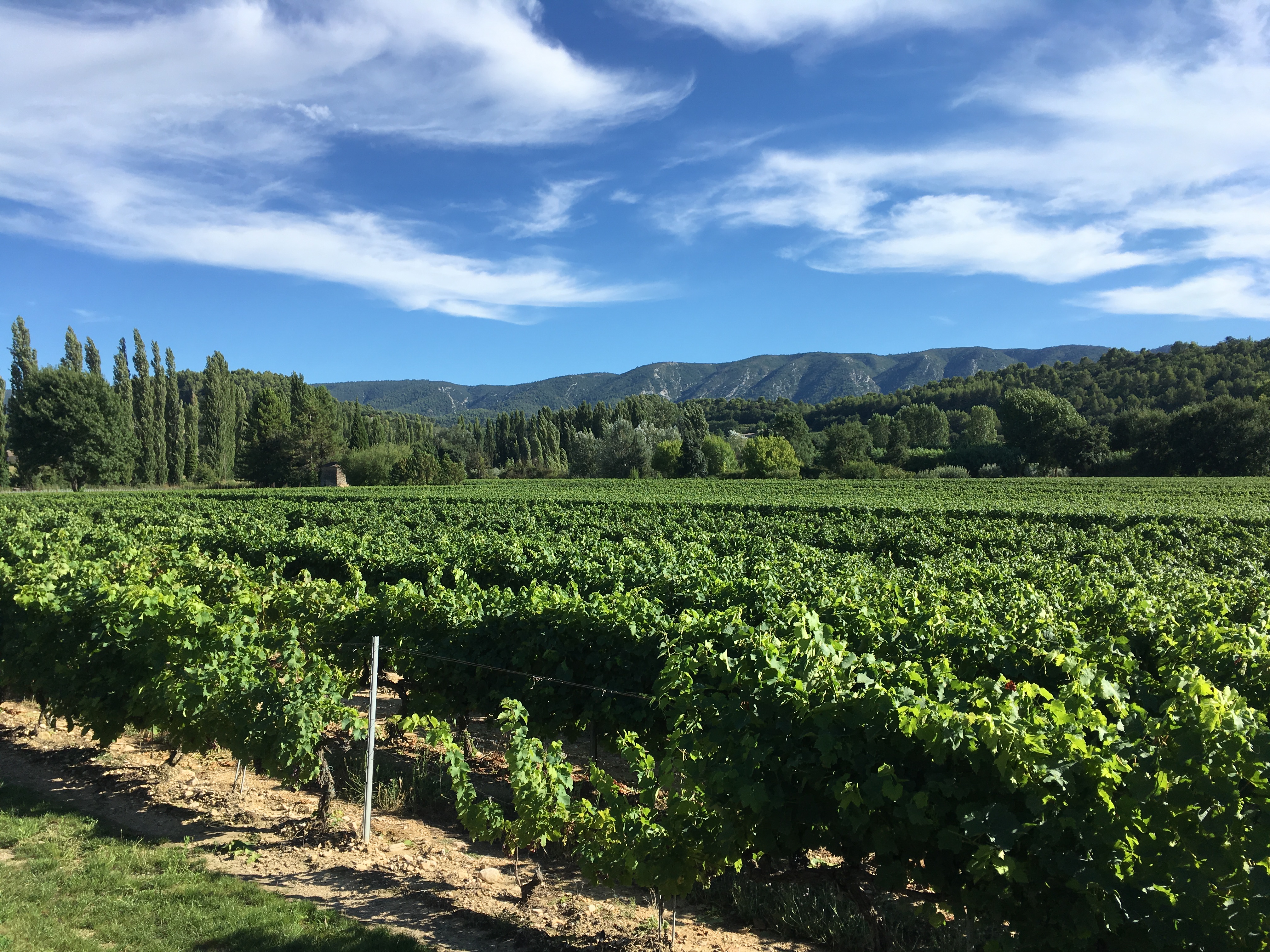 Photo n° 1 de l'avis de Remi.o fait le 11/08/2018 à 18:05