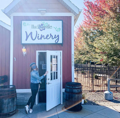 Winery «Hudsonville Winery», reviews and photos, 3768 Chicago Dr, Hudsonville, MI 49426, USA