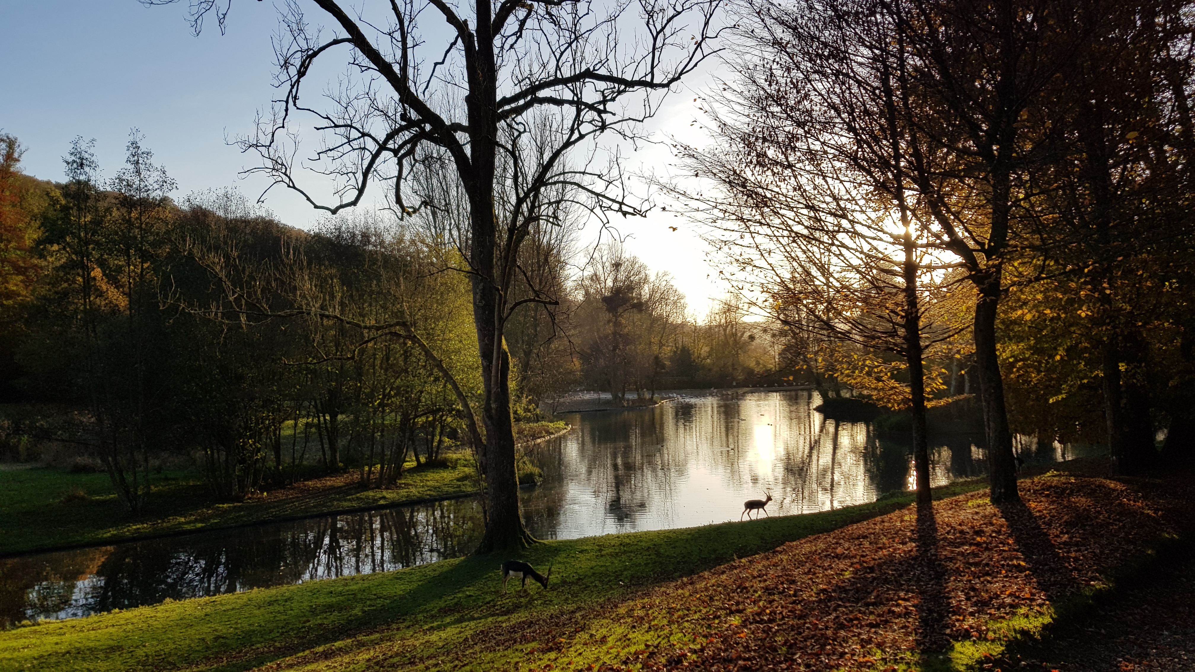 Photo n° 2 de l'avis de Morglaz.c fait le 10/11/2021 à 10:42