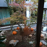 Photo n°17 de l'avis de Claudio.a fait le 02/11/2022 à 06:07 sur le  Hotel Due Ragni à Villorba