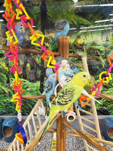 Pet Supply Store «Petco Animal Supplies», reviews and photos, 12444 NW 10th St #301, Yukon, OK 73099, USA