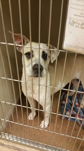 Pet Supply Store «PetSmart», reviews and photos, 2901 Texas Sage Trail, Fort Worth, TX 76177, USA