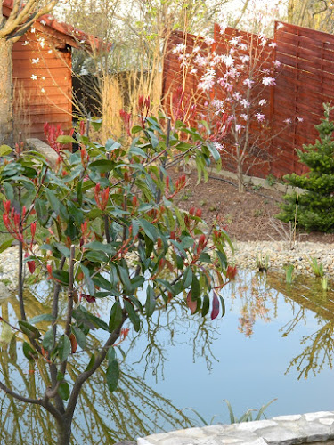 Comentarii opinii despre Kertépítés, Parképítés, Öntözőrendszer, Térburkolat, Kerti tó - Abies Trend Kft.