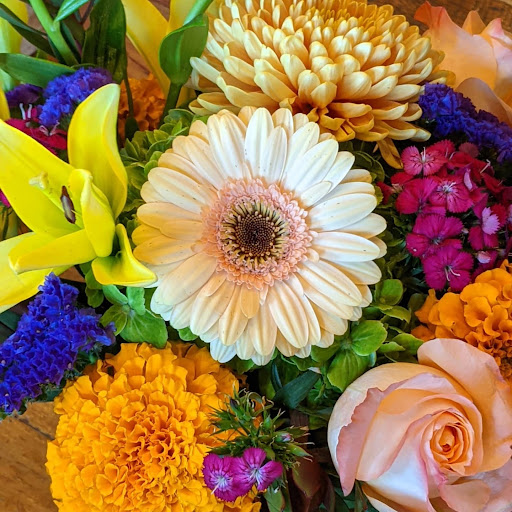 Steuber Florist & Greenhouses