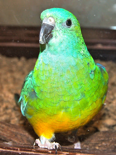 Pet Boarding Service «About Pets Center», reviews and photos, 1604 Conehurst Blvd, Salem, VA 24153, USA